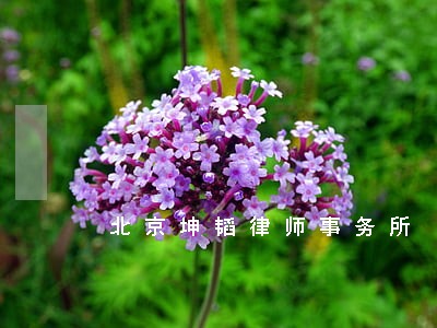 北京坤韬律师事务所 北京坤韬律师事务所