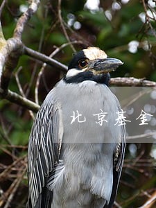 北京基金律师在线解答 北京基金律师在线解答