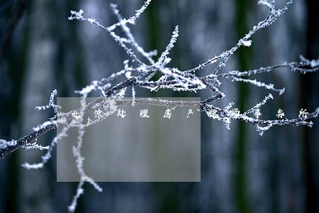 北京处理房产律师事务所 北京处理房产律师事务所