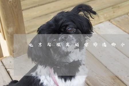 北京处理离婚律师选哪个 北京处理离婚律师选哪个