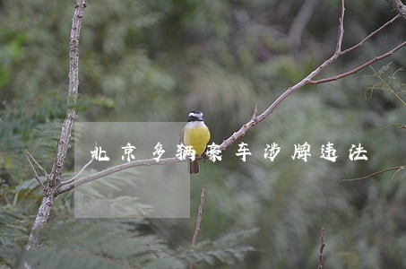 北京多辆豪车涉牌违法