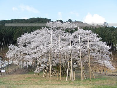 北京大兴债务案执行律师网站 北京大兴债务案执行律师网站