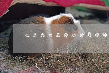 北京大兴区劳动仲裁律师 北京大兴区劳动仲裁律师
