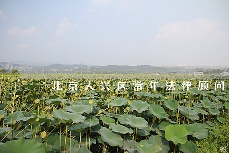 北京大兴区常年法律顾问 北京大兴区常年法律顾问