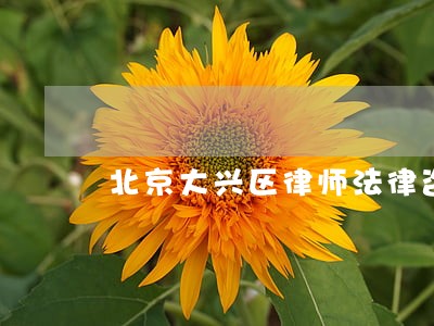 北京大兴区律师法律咨询 北京大兴区律师法律咨询