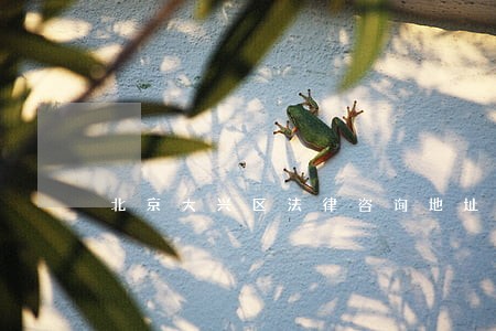 北京大兴区法律咨询地址 北京大兴区法律咨询地址
