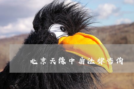 北京天缘中盾法律咨询 北京天缘中盾法律咨询