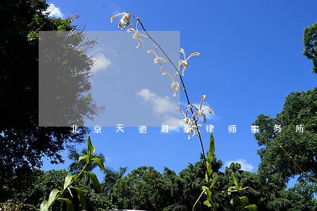 北京天驰君泰律师事务所 北京天驰君泰律师事务所