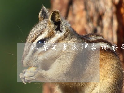 北京夫妻法律咨询案例 北京夫妻法律咨询案例