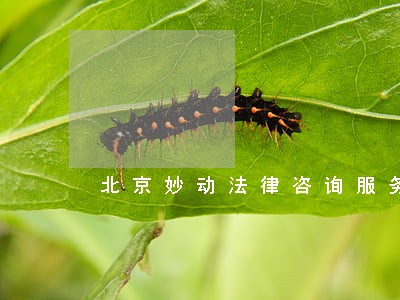 北京妙动法律咨询服务 北京妙动法律咨询服务