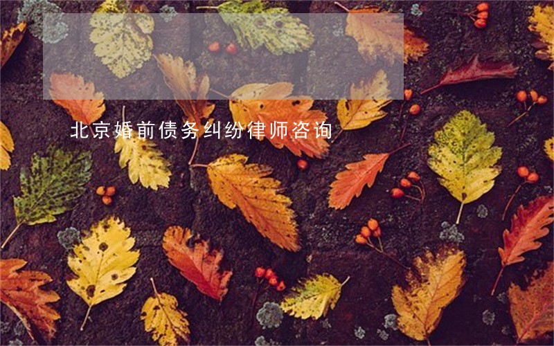 北京婚前债务纠纷律师咨询 北京婚前债务纠纷律师咨询
