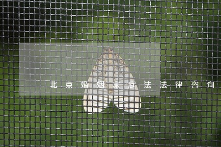 北京婚姻家庭法法律咨询律师 北京婚姻家庭法法律咨询律师
