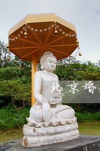 北京婚姻律师咨询律师 北京婚姻律师咨询律师