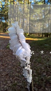 北京婚姻律师咨询电话 北京婚姻律师咨询电话