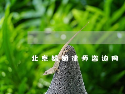 北京婚姻律师咨询网 北京婚姻律师咨询网