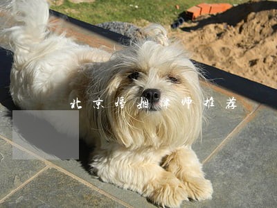 北京婚姻律师推荐 北京婚姻律师推荐