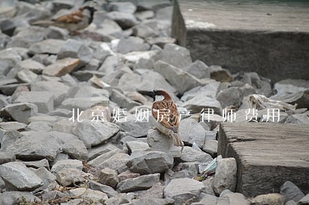 北京婚姻房产律师费用 北京婚姻房产律师费用
