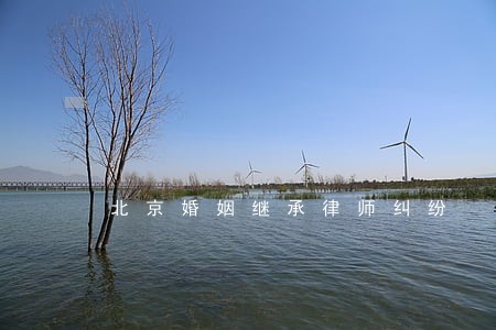 北京婚姻继承律师纠纷 北京婚姻继承律师纠纷