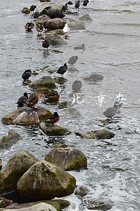 北京安倍达律所律师发消息 北京安倍达律所律师发消息