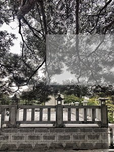 北京审查业务部法规处工作人员 北京审查业务部法规处工作人员