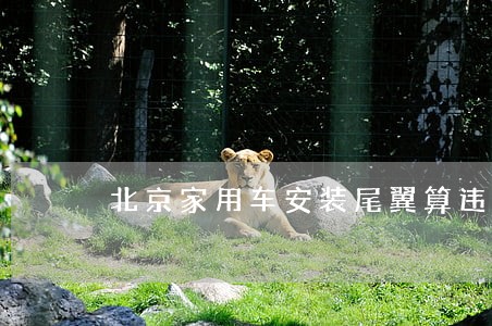 北京家用车安装尾翼算违法么 北京家用车安装尾翼算违法么