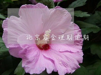 北京容金理财逾期 北京容金理财逾期