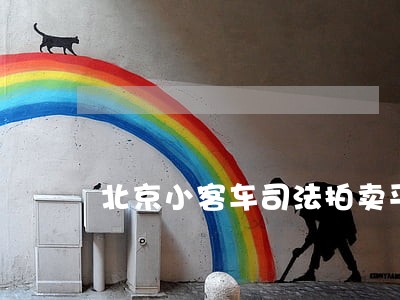 北京小客车司法拍卖平台 北京小客车司法拍卖平台
