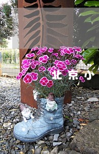 北京小汽车调控拍卖
