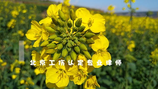 北京工伤认定专业律师 北京工伤认定专业律师