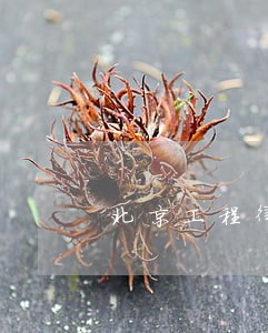 北京工程律师免费咨询 北京工程律师免费咨询