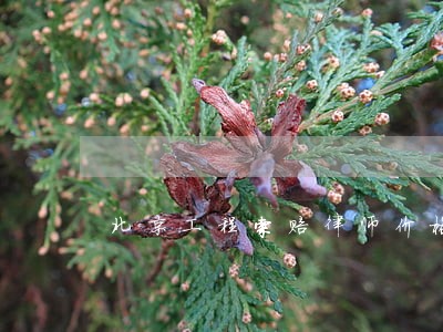 北京工程索赔律师价格品质服务 北京工程索赔律师价格品质服务