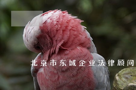 北京市东城企业法律顾问 北京市东城企业法律顾问