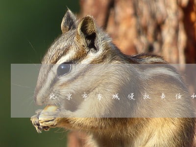 北京市东城侵权责任纠纷律师 北京市东城侵权责任纠纷律师