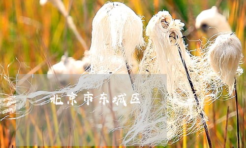北京市东城区