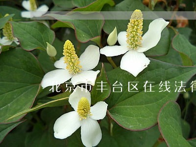 北京市丰台区在线法律咨询 北京市丰台区在线法律咨询
