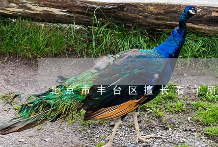 北京市丰台区擅长看守所会见律师 北京市丰台区擅长看守所会见律师