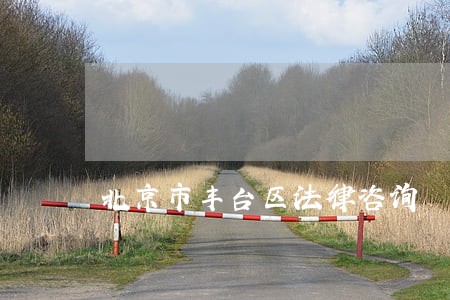 北京市丰台区法律咨询 北京市丰台区法律咨询