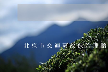 北京市交通事故保险理赔律师咨询 北京市交通事故保险理赔律师咨询