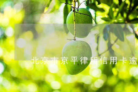 北京市京平律所信用卡逾期案件 北京市京平律所信用卡逾期案件