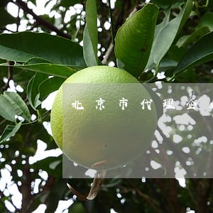 北京市代理企业法律顾问 北京市代理企业法律顾问