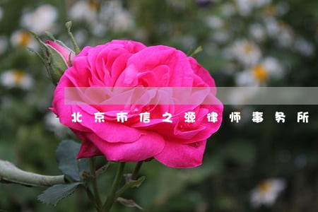 北京市信之源律师事务所品牌介绍 北京市信之源律师事务所品牌介绍