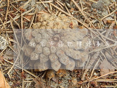 北京市信凯律师事务所怎么样啊 北京市信凯律师事务所怎么样啊