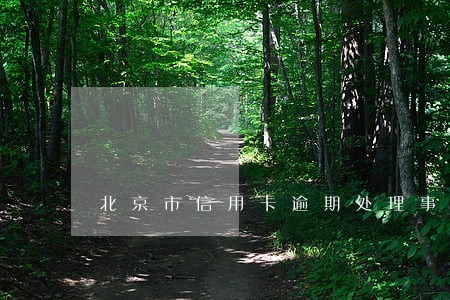 北京市信用卡逾期处理事务所 北京市信用卡逾期处理事务所