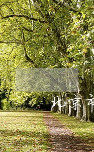 北京市债务律师团队 北京市债务律师团队