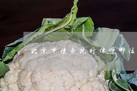 北京市债务执行律师哪位好 北京市债务执行律师哪位好