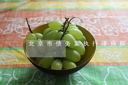 北京市债务案执行律师解决方案 北京市债务案执行律师解决方案