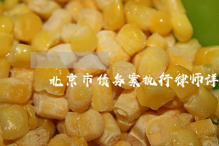 北京市债务案执行律师详细解答 北京市债务案执行律师详细解答