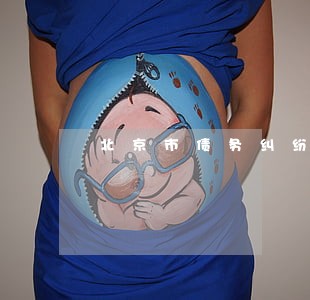 北京市债务纠纷强制执行律师 北京市债务纠纷强制执行律师