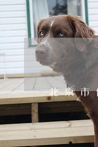 北京市债权债务合同律师收费