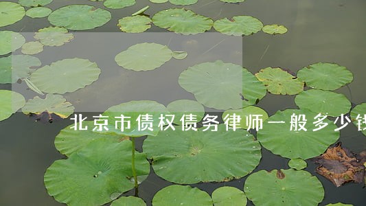 北京市债权债务律师一般多少钱 北京市债权债务律师一般多少钱
